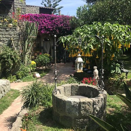 Casa Vacanze Il Pozzo Villa Isquia Exterior foto