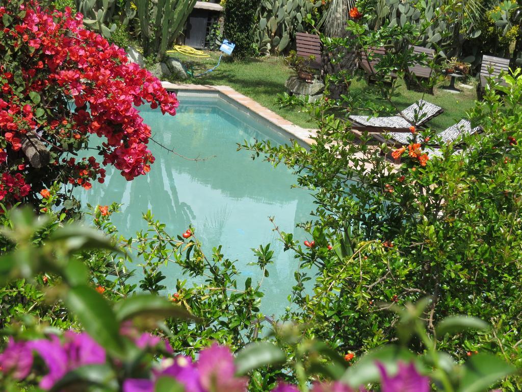 Casa Vacanze Il Pozzo Villa Isquia Exterior foto