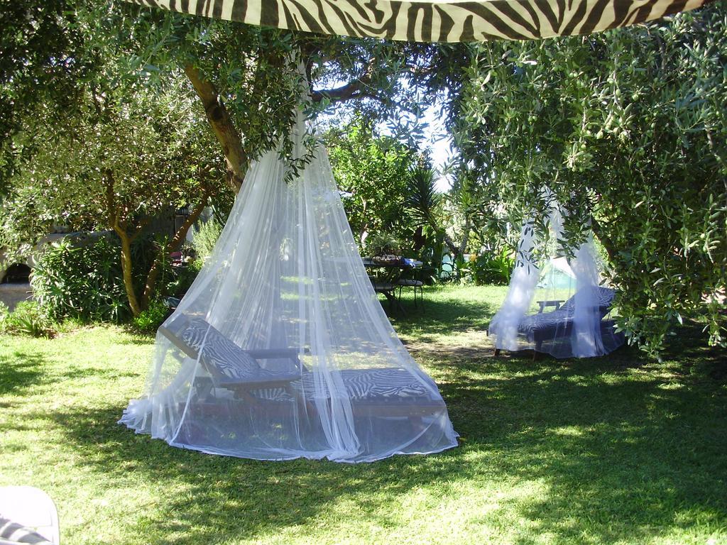 Casa Vacanze Il Pozzo Villa Isquia Exterior foto