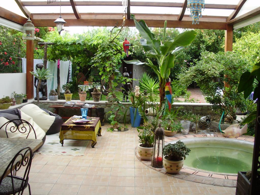 Casa Vacanze Il Pozzo Villa Isquia Exterior foto