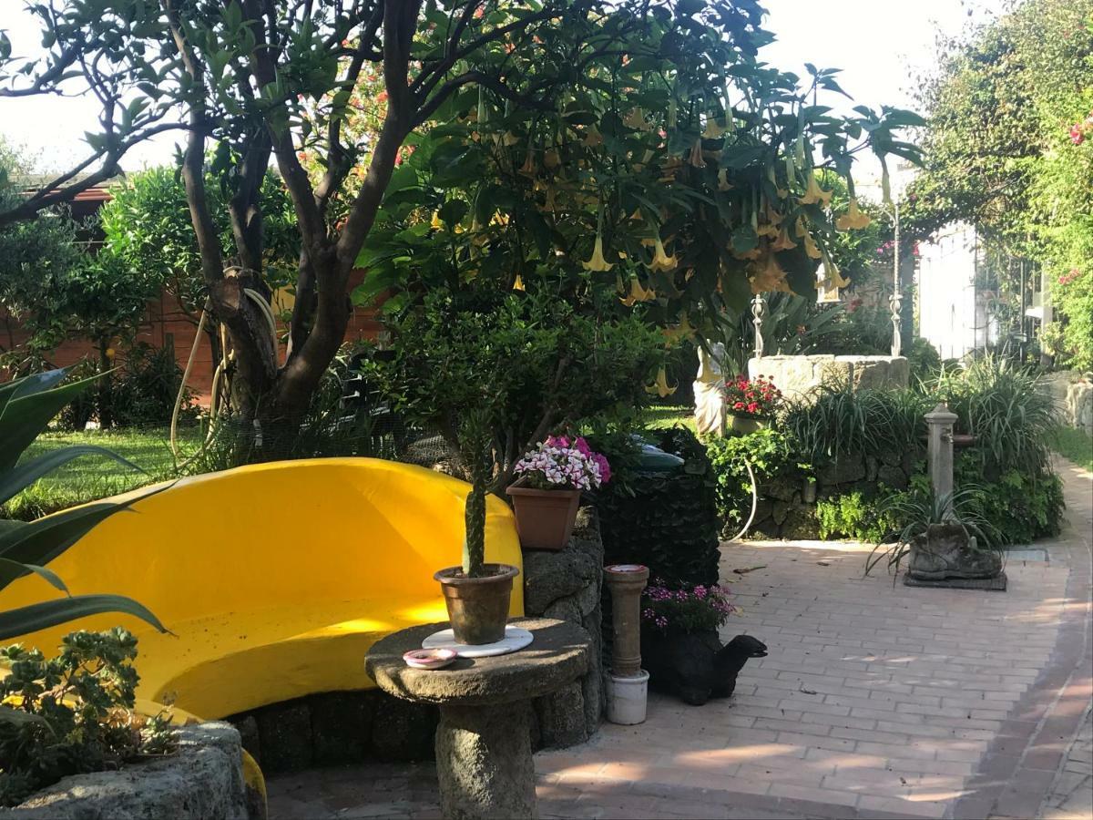 Casa Vacanze Il Pozzo Villa Isquia Exterior foto
